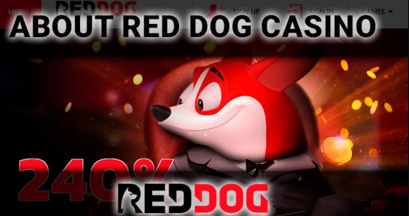 Red Dog Casino Account Validation__2