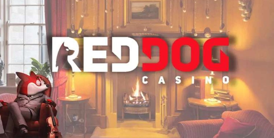 Red Dog Casino Account Validation__3