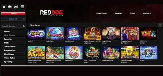 Red Dog Casino Download__3